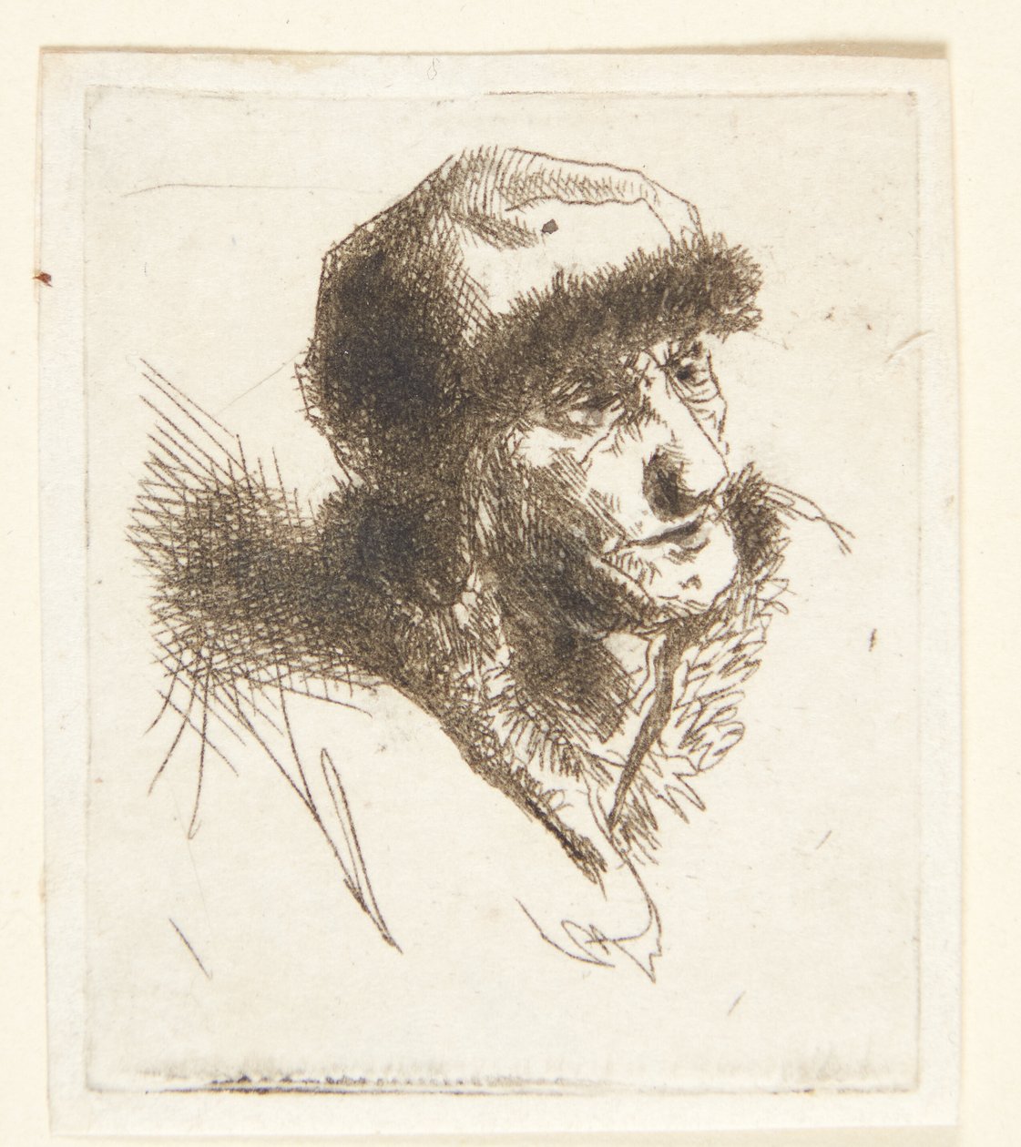 Oude vrouw met bontmuts door Cornelis Pietersz Bega