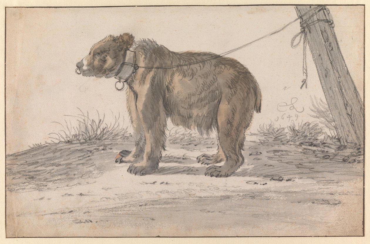 Een beer aan een touw door Cornelis Saftleven