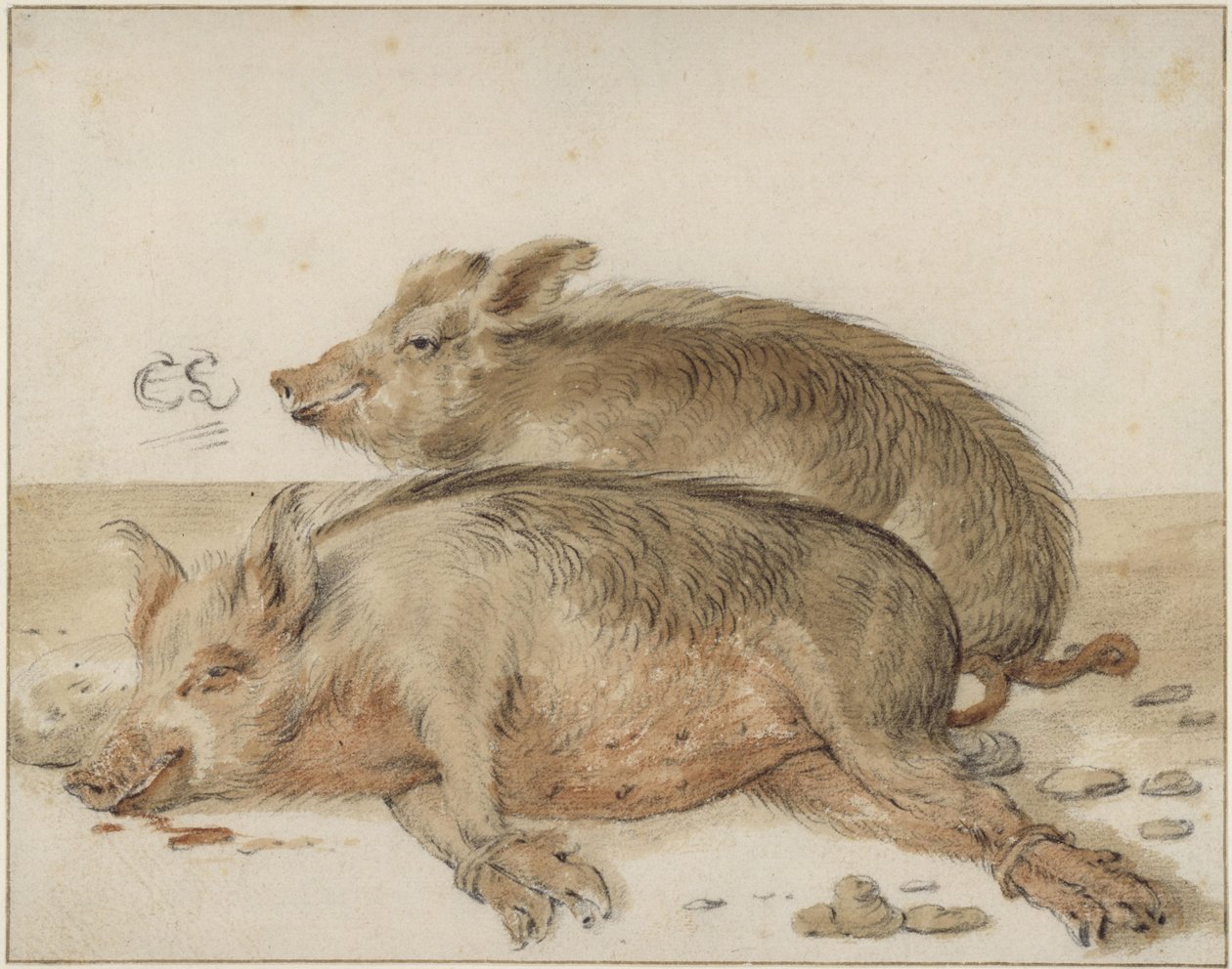 Twee varkens door Cornelis Saftleven
