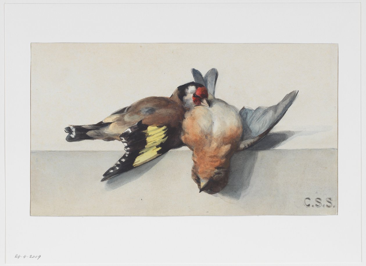 Stilleven met twee dode vogels door Cornelis Samuel Stortenbeker