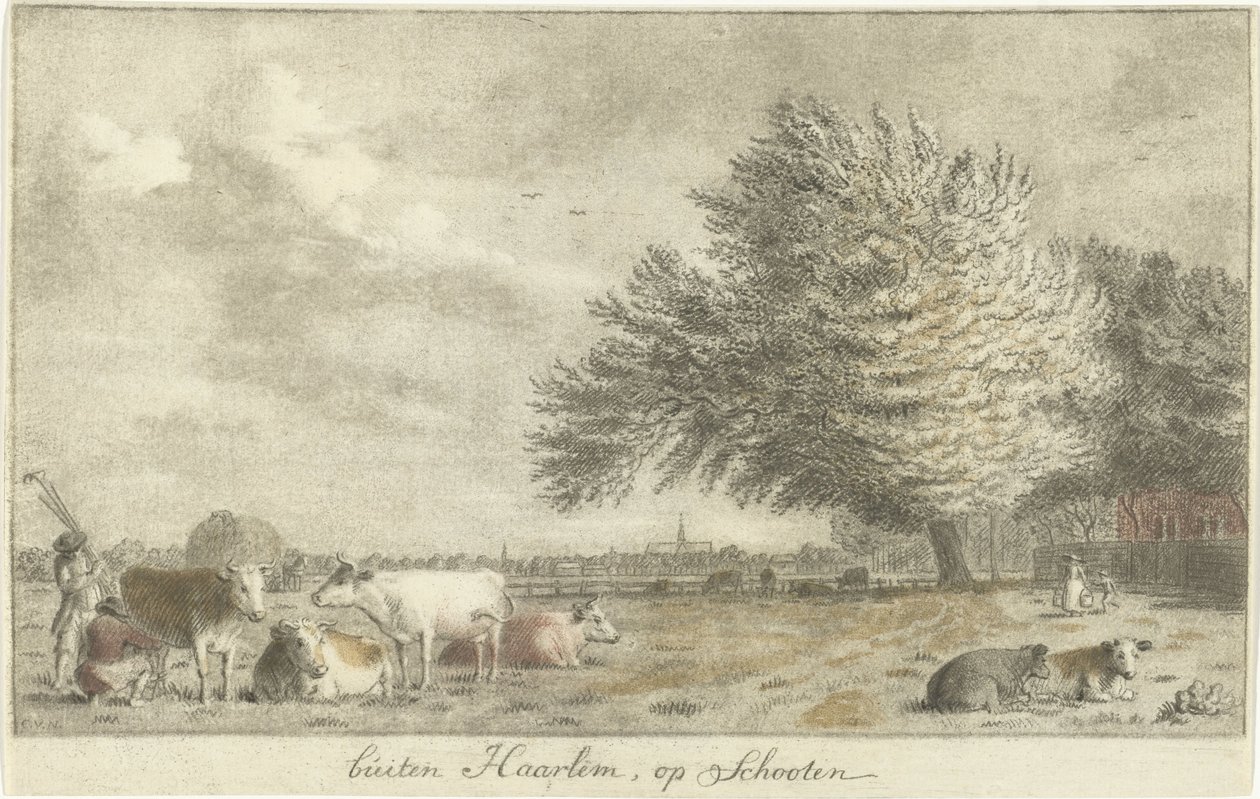 Koeien in een weiland buiten Haarlem, op Schooten door Cornelis van Noorde