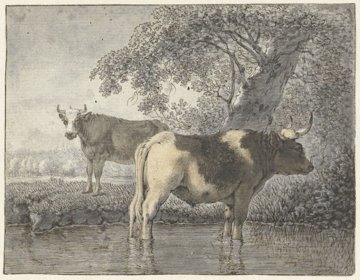 Twee koeien onder een boom aan het water door Cornelis van Noorde
