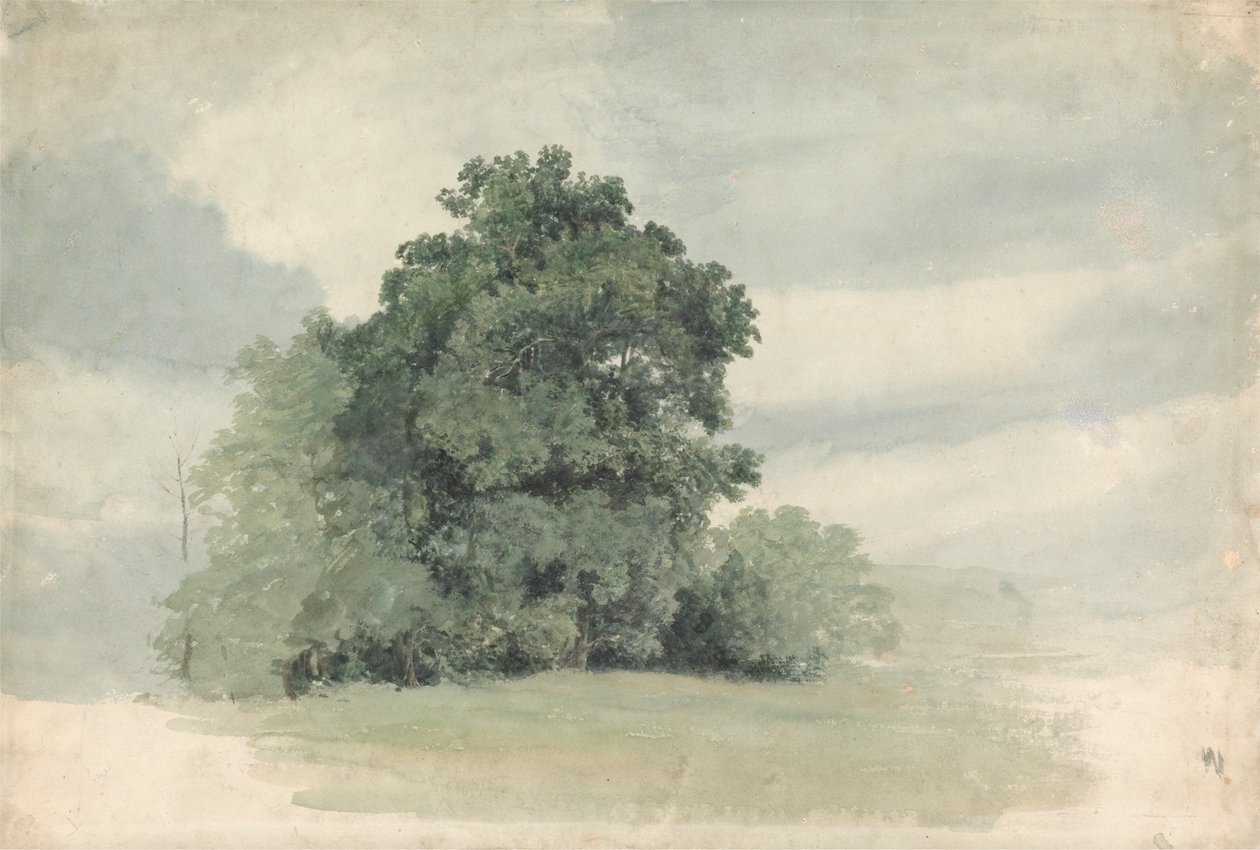 Studie van bomen aan de rand van een veld door Cornelius Varley