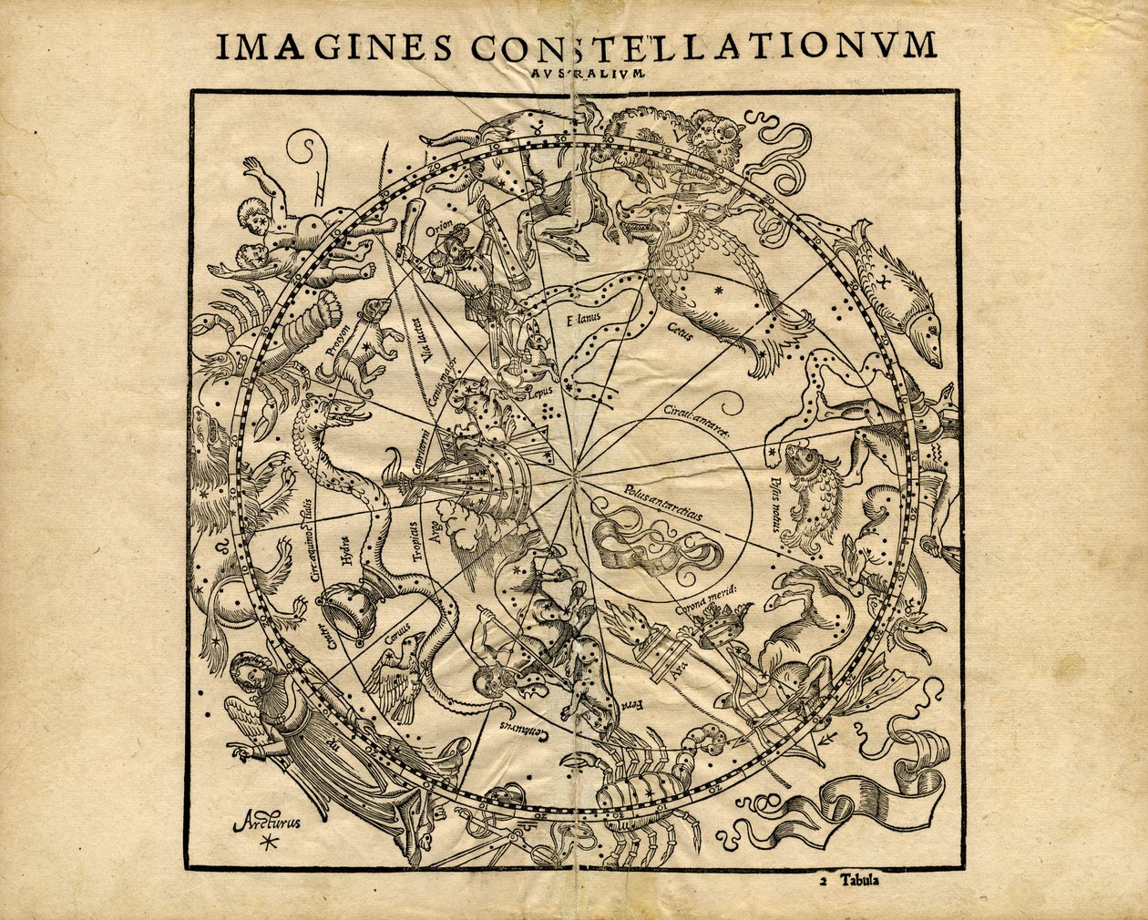 Verbeeldt Constellationum Australium (zuidelijke hemelplaneet) door Coronensis & Petri Heinrich Honter