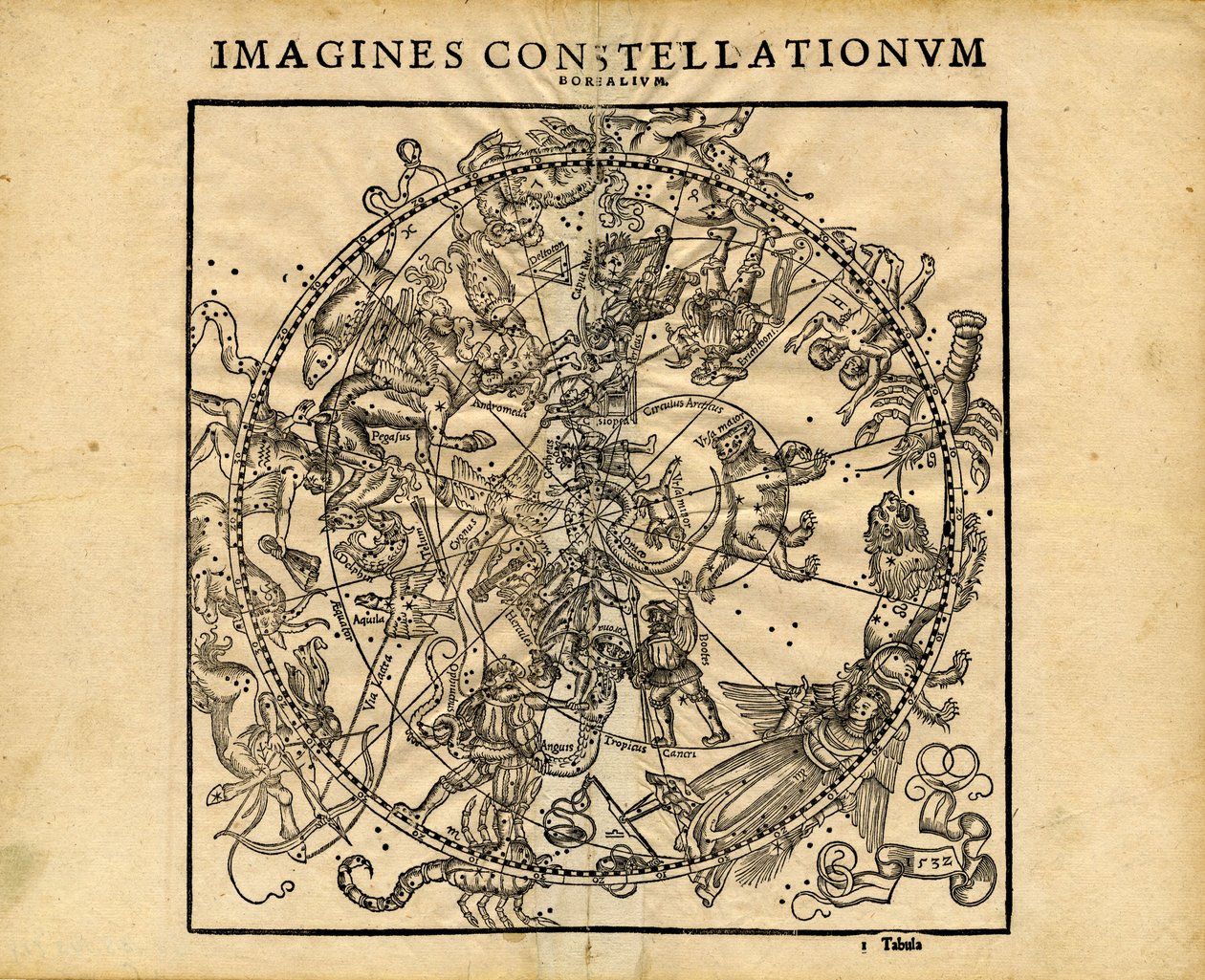Verbeeldt Constellationum Borealium (Noordelijke Hemelse Planisfeer) door Coronensis & Petri Heinrich Honter