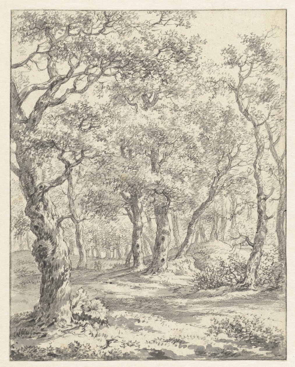 Boslandschap door Couwenhoven