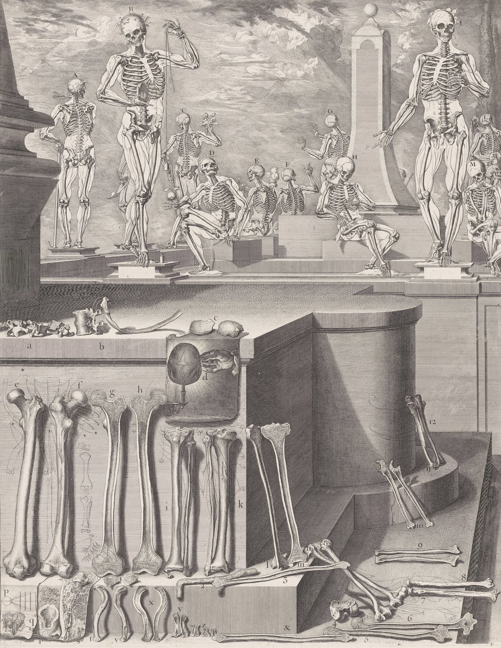 Plate voor de 