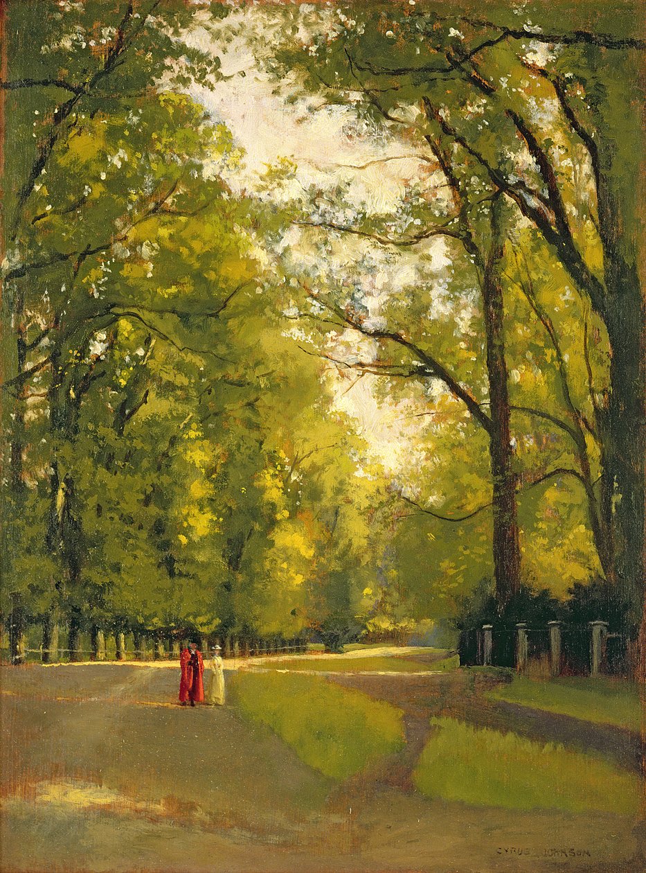 Achterkanten van de Colleges, Cambridge door Cyrus Johnson