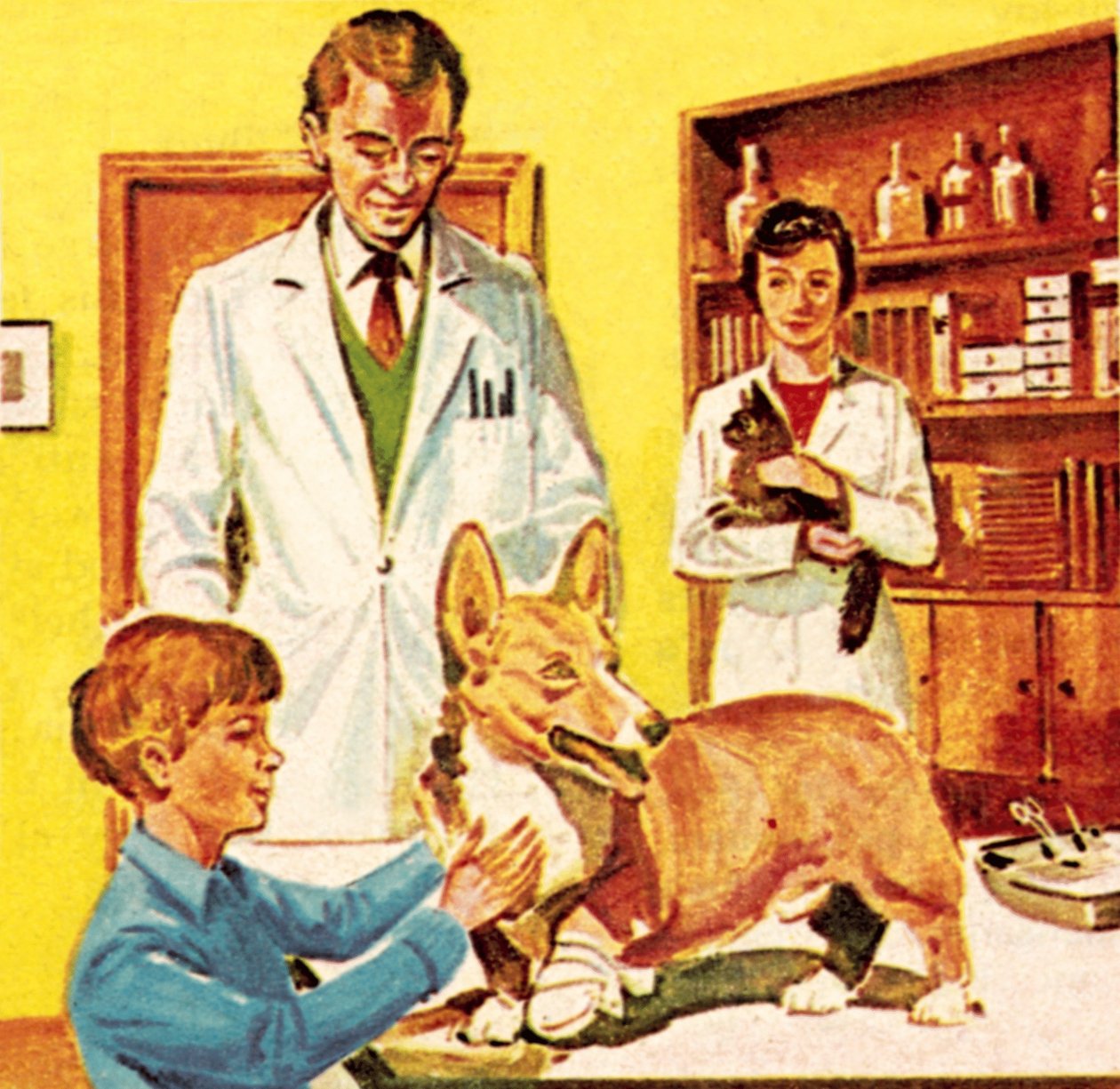 Kliniek van de Volksdokter voor zieke dieren door Dan Escott