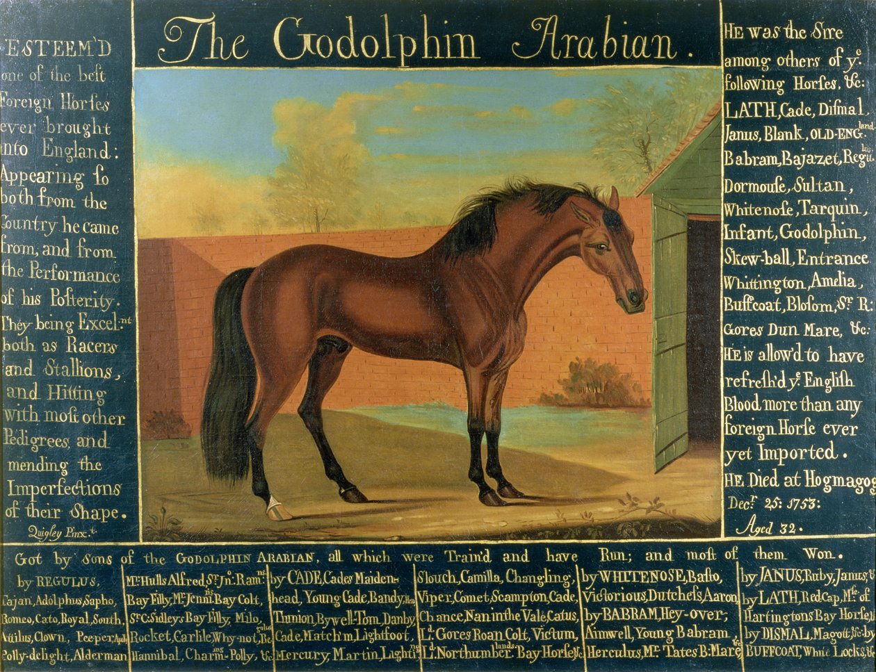 De Godolphin Arabier door Daniel Quigley