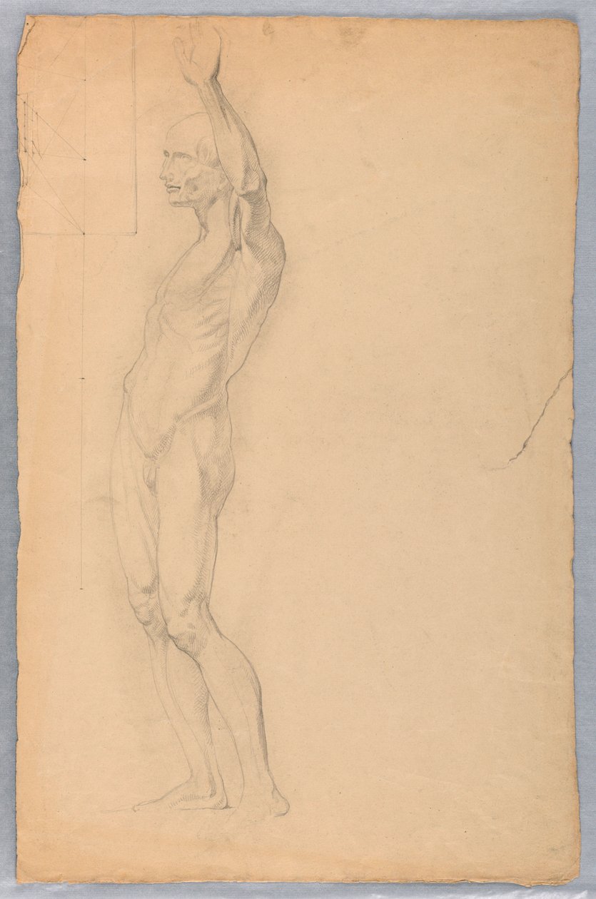 Tekening, Anatomische studie van een man, ca. 1850 door Daniel Huntington