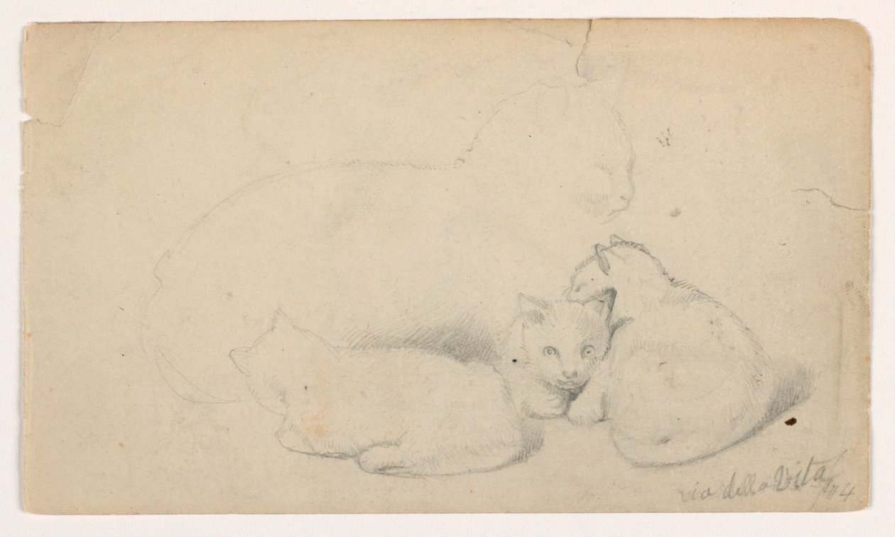 Tekening, Kat en drie kittens; Verso: Arabische man zittend ontvangt een man, mogelijk naar David Roberts, 1844 door Daniel Huntington