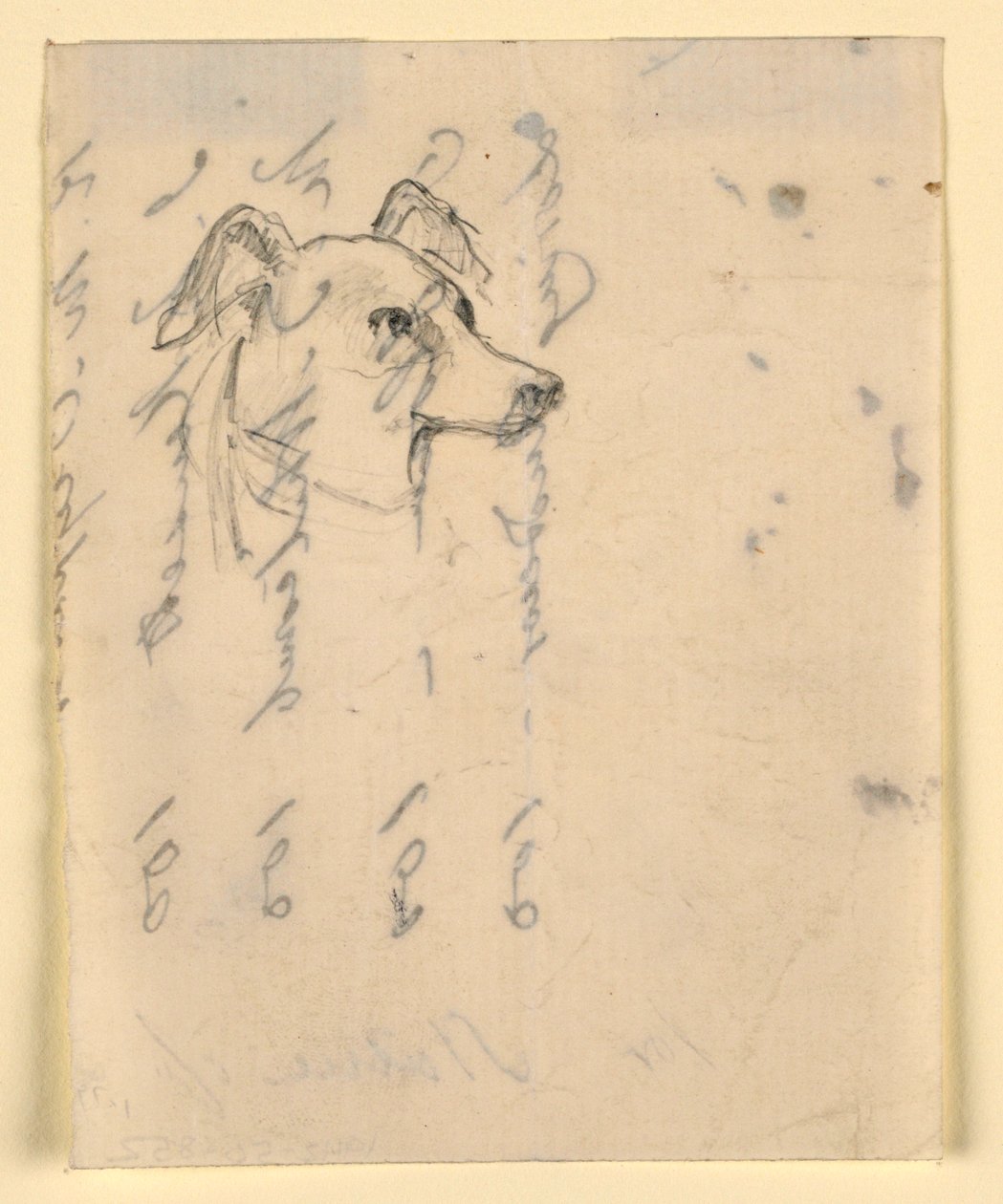 Tekening, Hondenkop, waarschijnlijk Milo (een Pointer), ca. 1862 door Daniel Huntington
