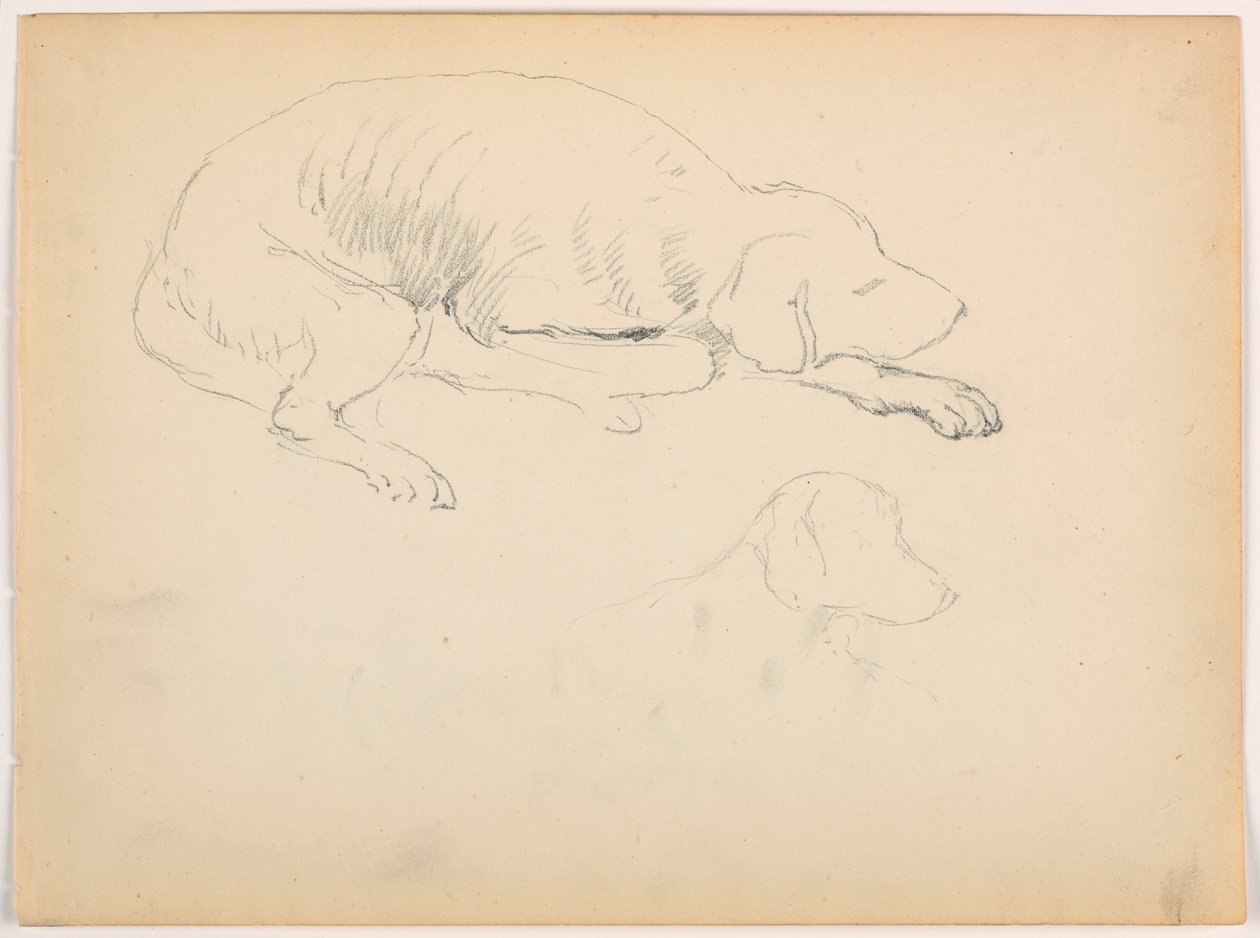 Tekening, Milo (een Pointer), Twee studies, ca. 1862 door Daniel Huntington