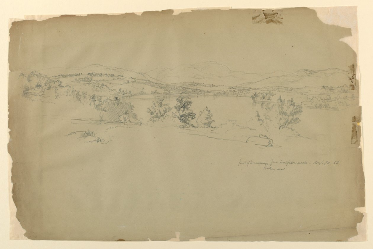 Lake Winnipesaukee vanaf Wolfeboro Neck, kijkend naar het westen door Daniel Huntington