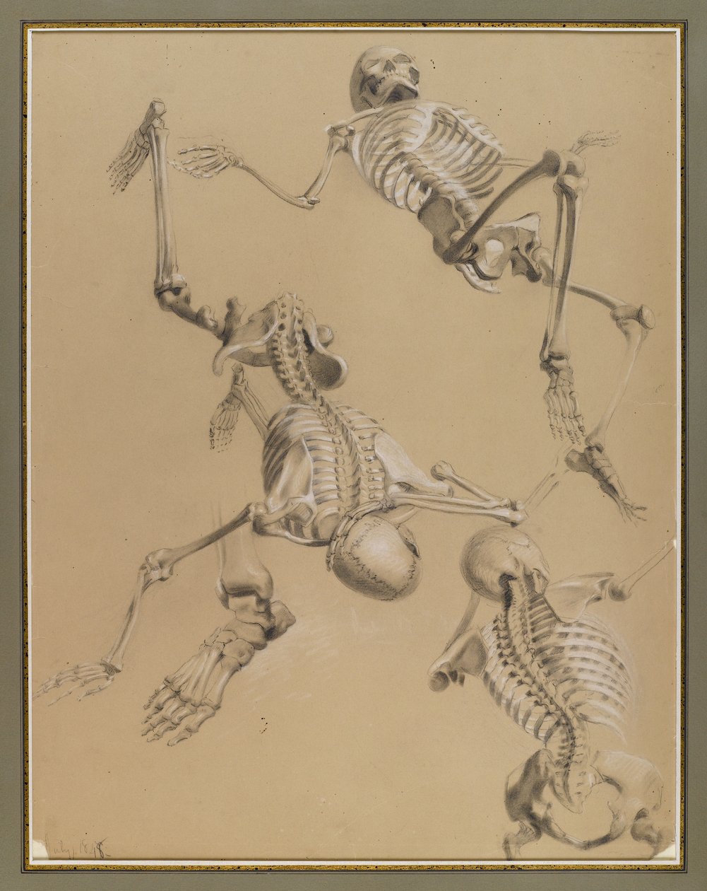 Studie van skeletten, 1848 door Daniel Huntington