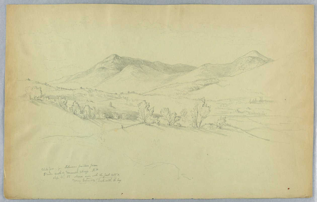 Whiteface Mountain, ten noorden van Tamworth Village, New Hampshire door Daniel Huntington