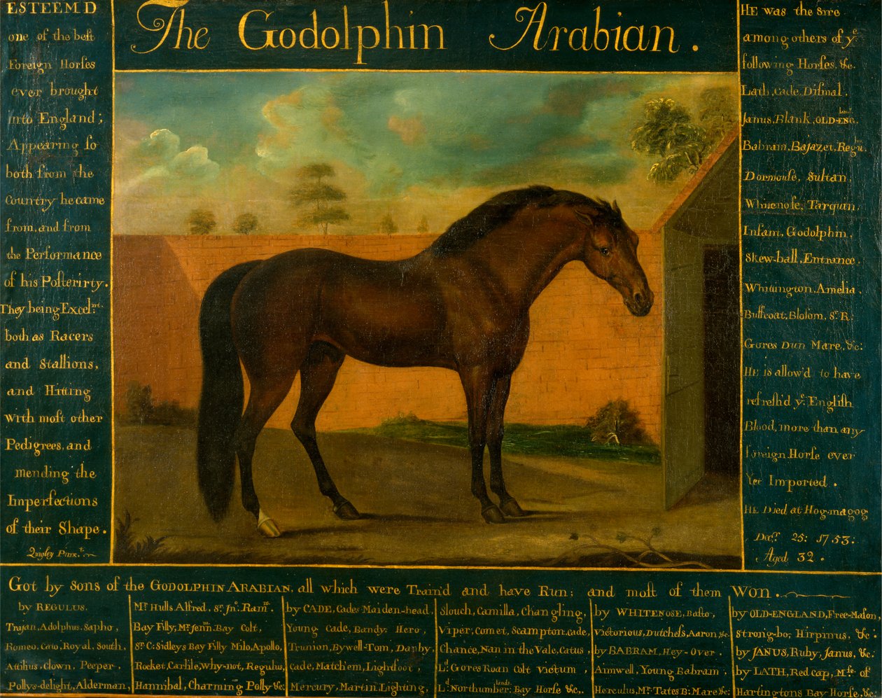 De Godolphin Arabian door Daniel Quigley