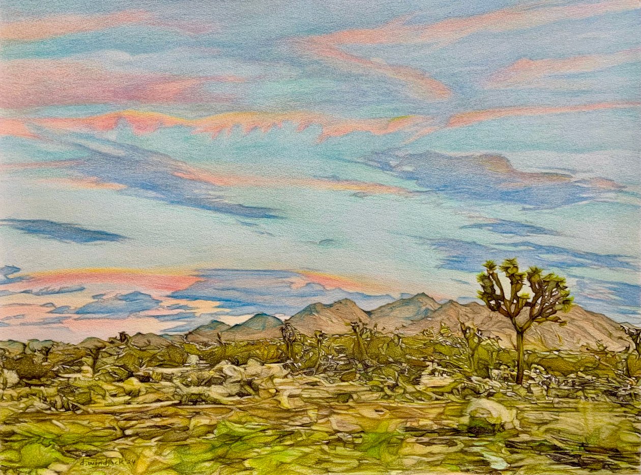 De Joshua Tree door Darrell Windjack