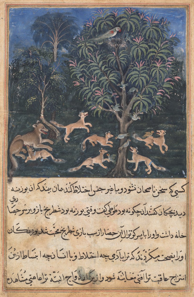 Pagina uit Verhalen van een papegaai Tuti-nama: Vijfde nacht: De papegaaienmoeder waarschuwt..., c. 1560 door Daswanth