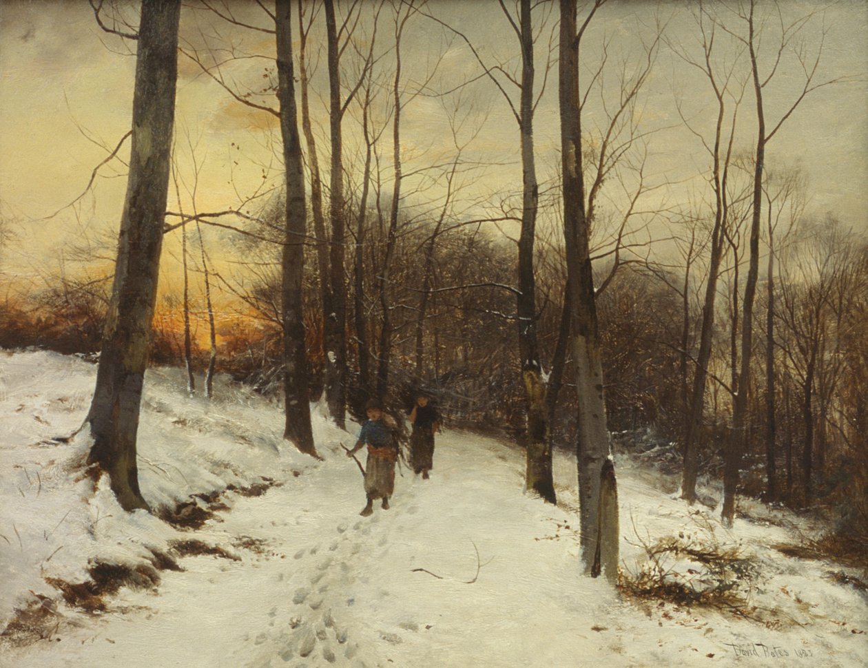 Malvern Woods door David Bates