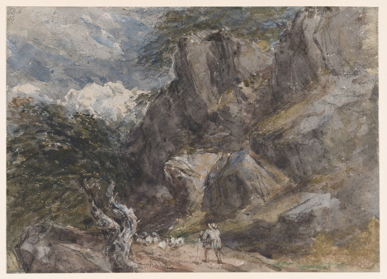 Schapen drijven in een rotsachtig landschap door David Cox