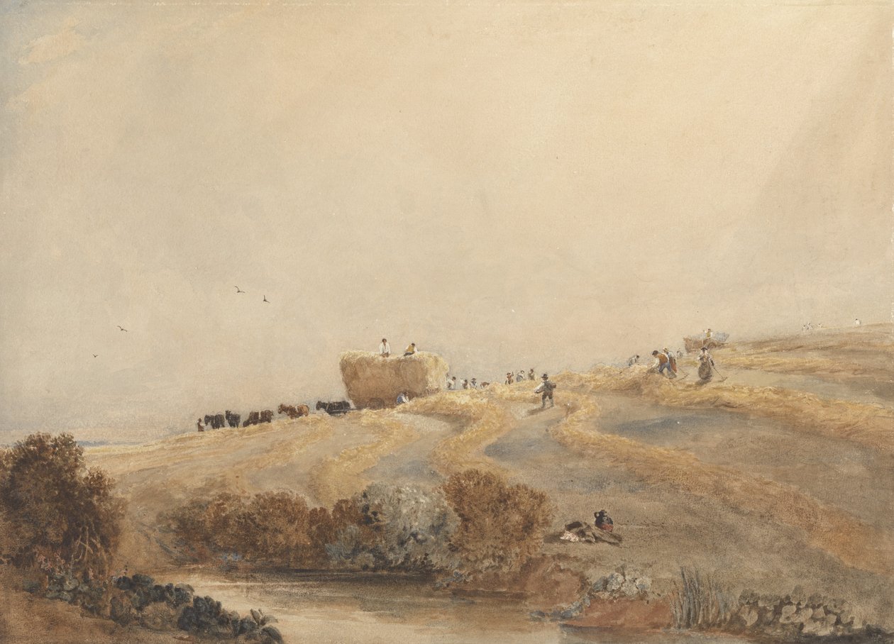 Hooien door David Cox