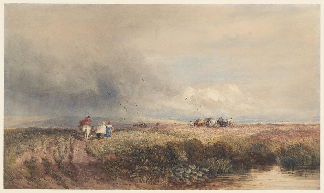 Reis naar huis door David Cox