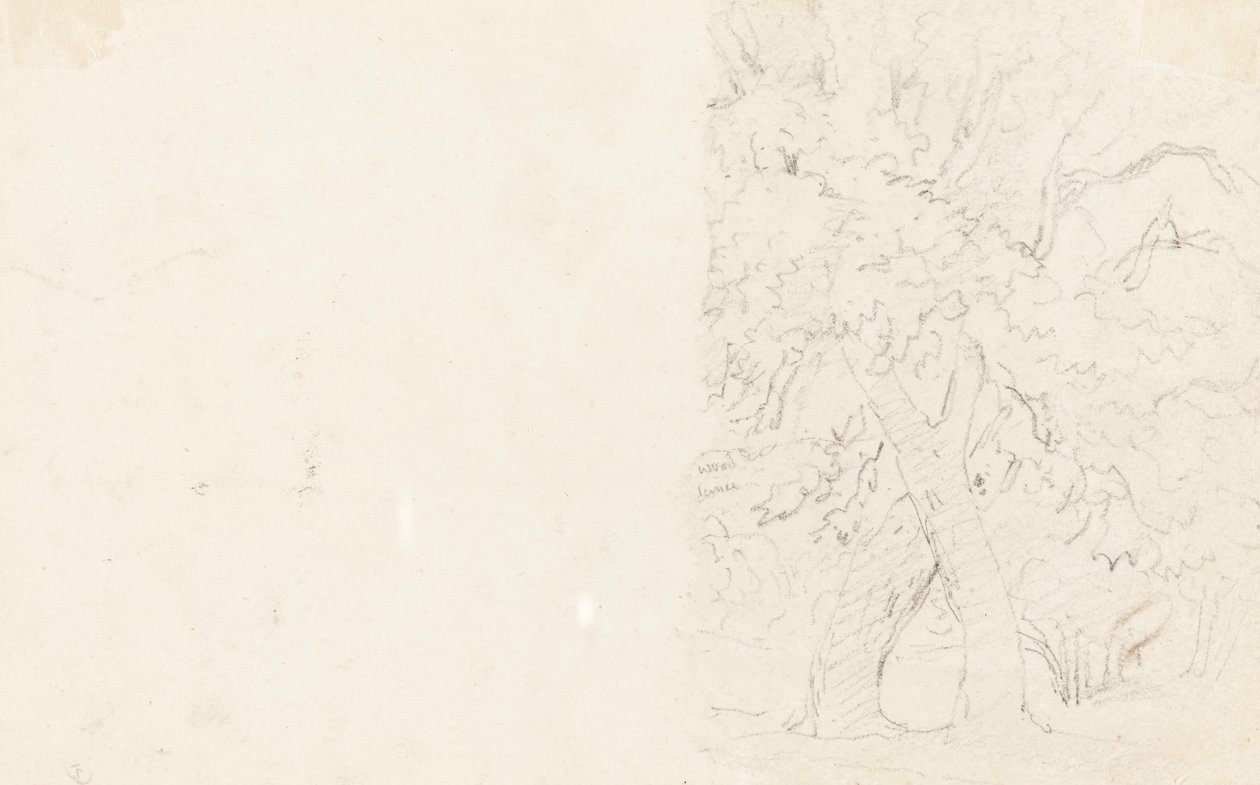 Bomen [verso] door David Cox