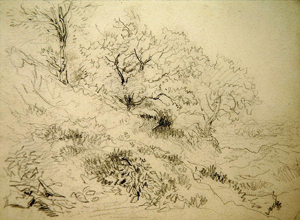 Welsh Landschap door David Cox