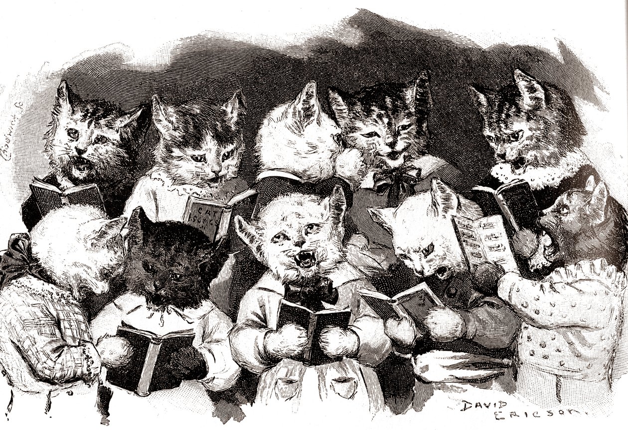 Zingend kattenkoor, begin 20e eeuw (illustratie) door David Ericson