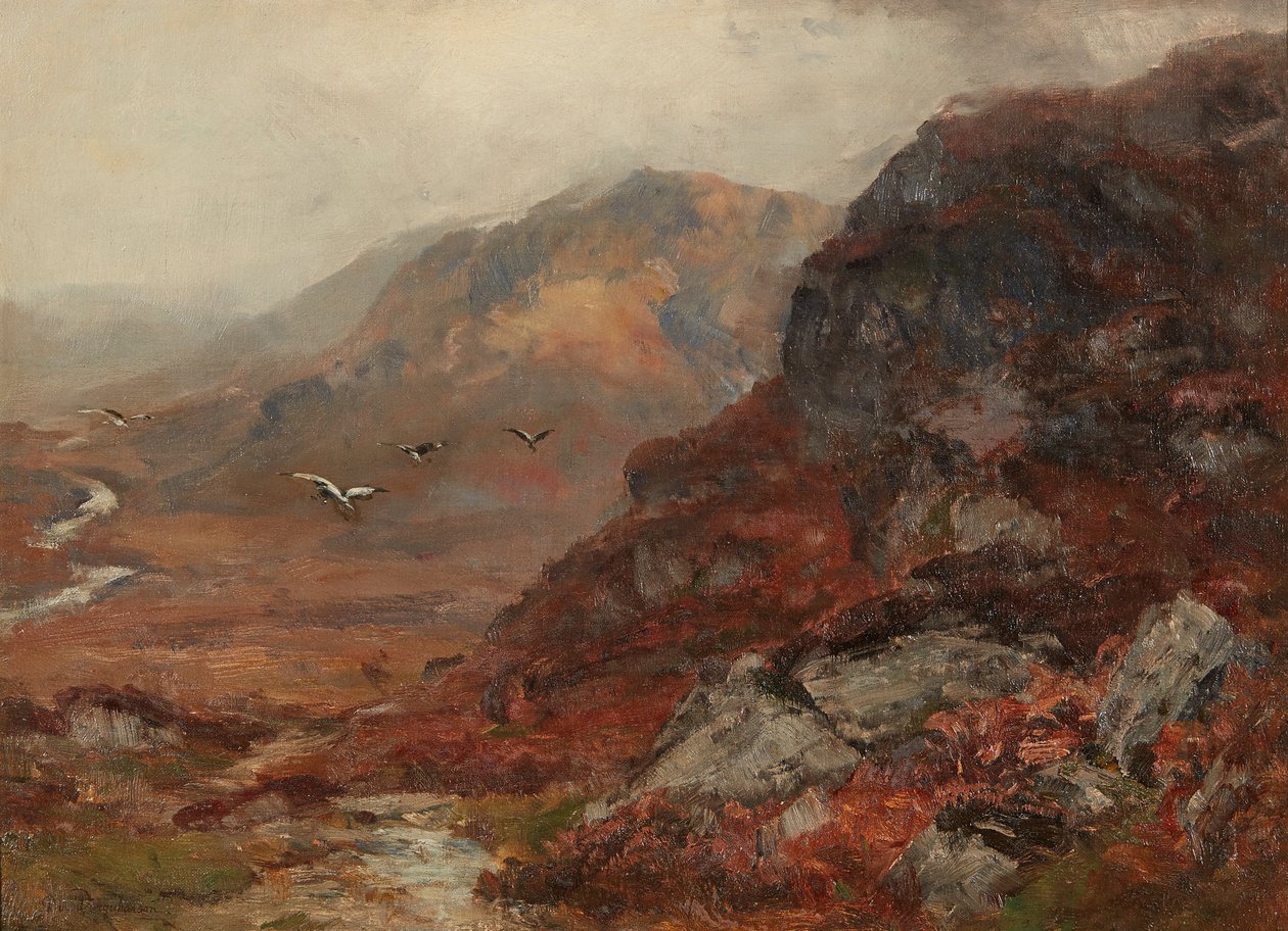 Hooglanden door David Farquharson
