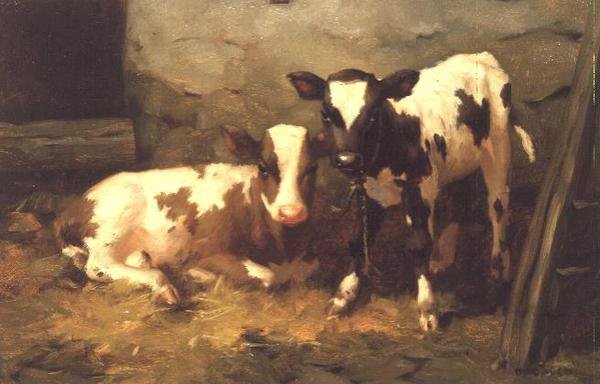 Kalfjes in een Schuur door David Gauld