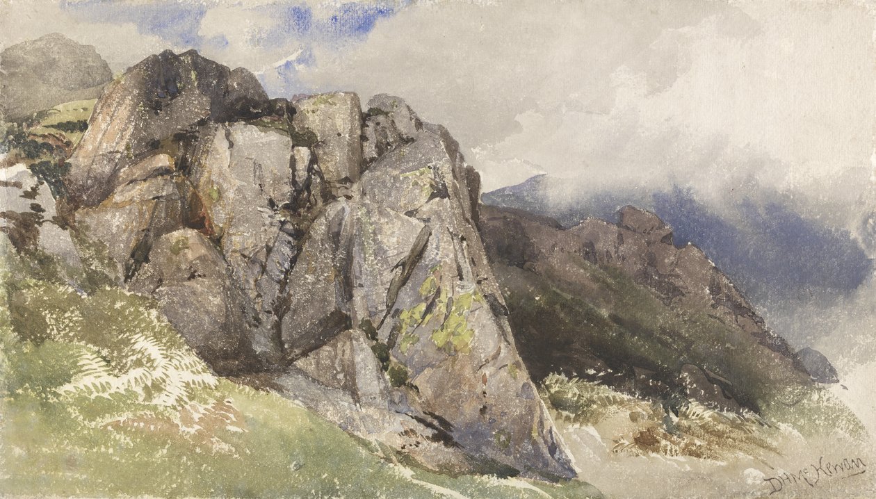 Bergrotsen door David Hall McKewan