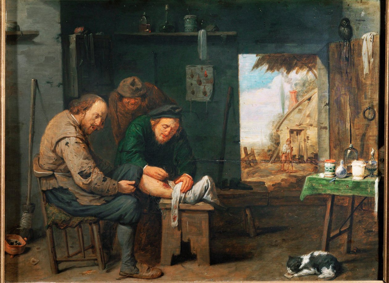 "De barbier-chirurg (olieverf op hout) door David III Ryckaert