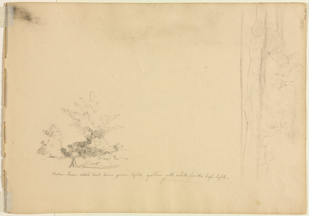 Landschaps- en boomstudies (verso) door David Johnson