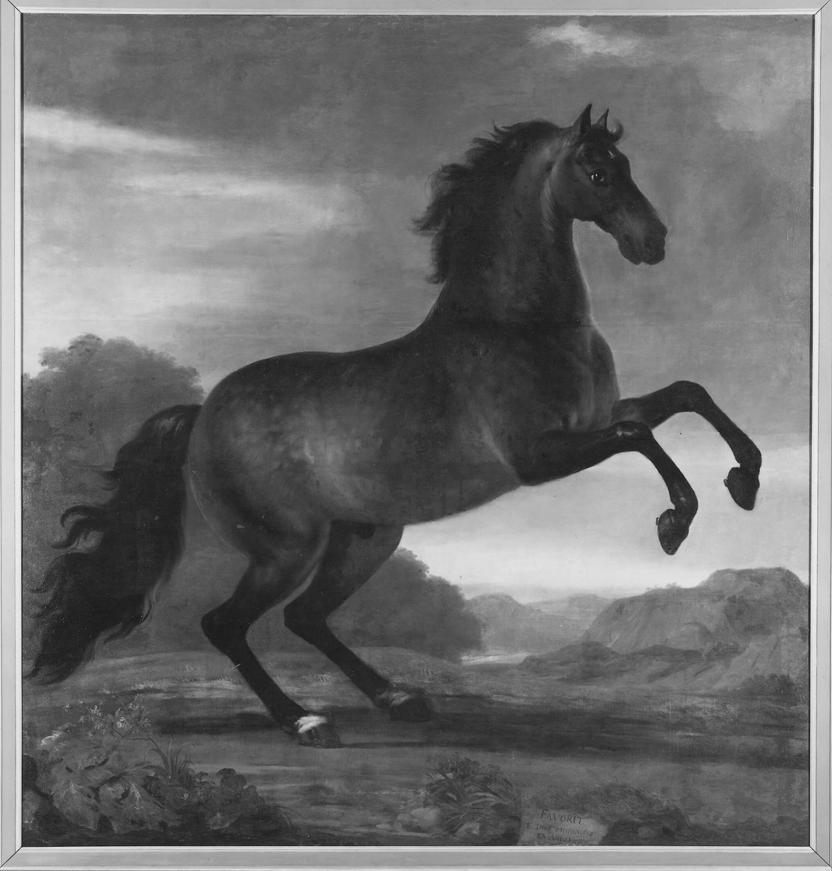 Het strijdpaard van Karel XI, Favorit Hispanicus door David Klöcker Ehrenstrahl