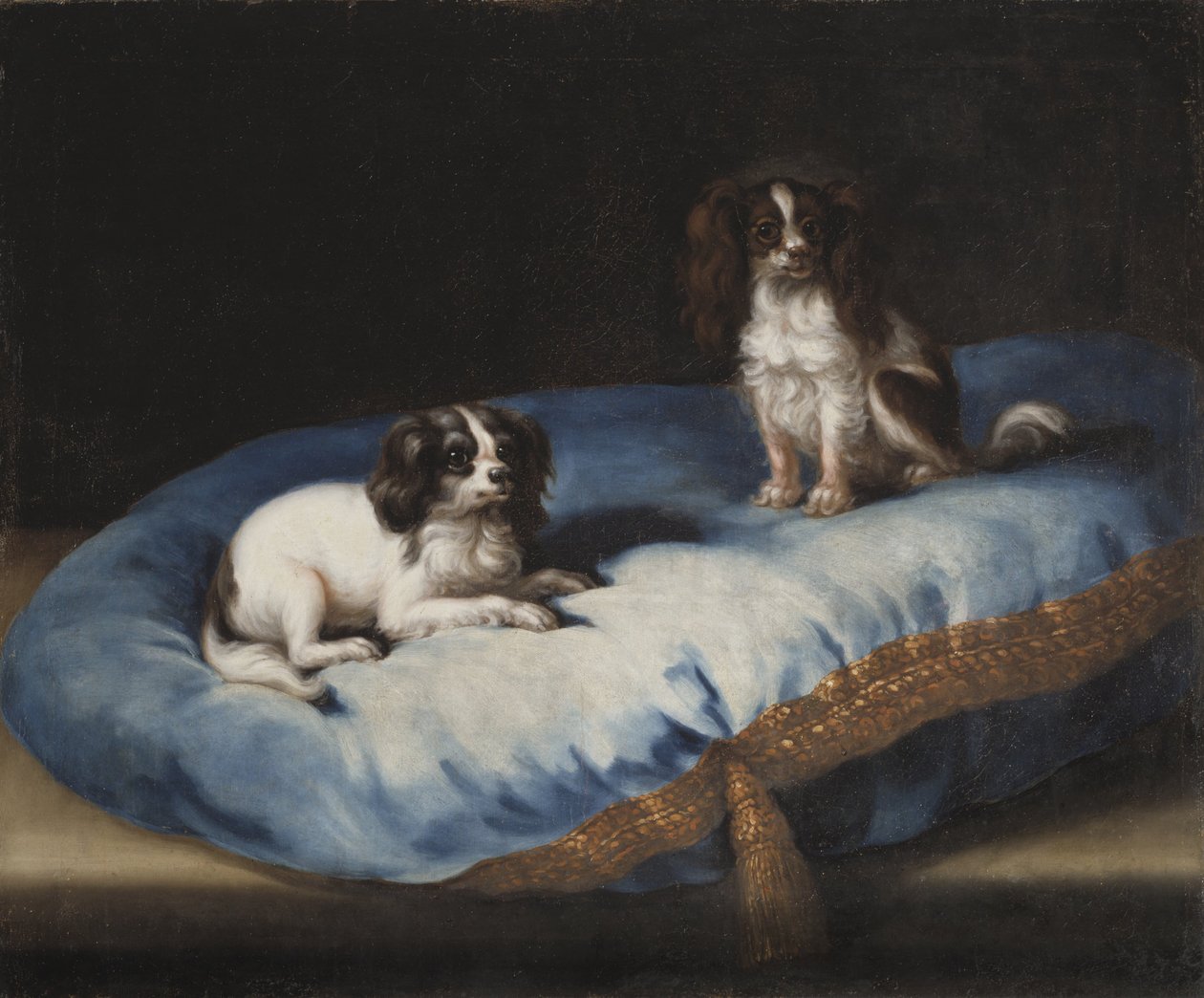 Twee kleine honden door David Klöcker Ehrenstrahl
