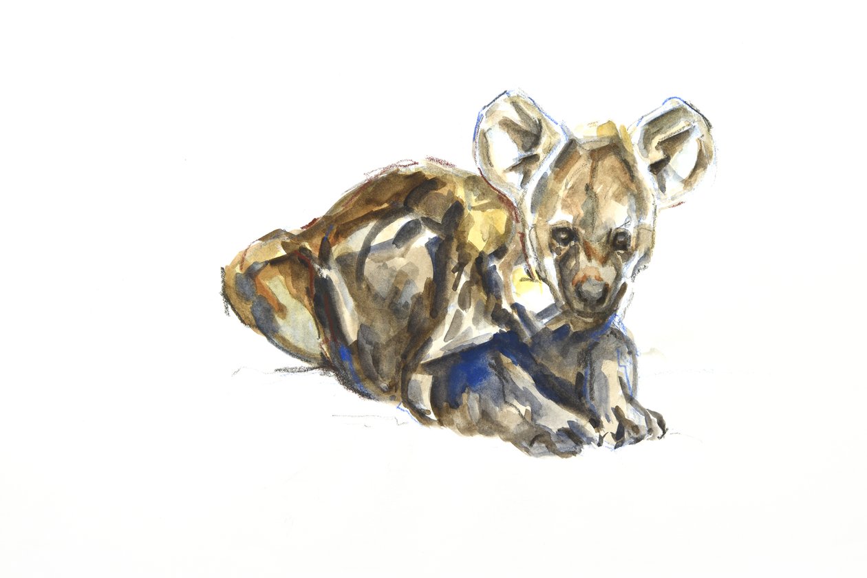 Hyena welp, 2020 door David Mayer