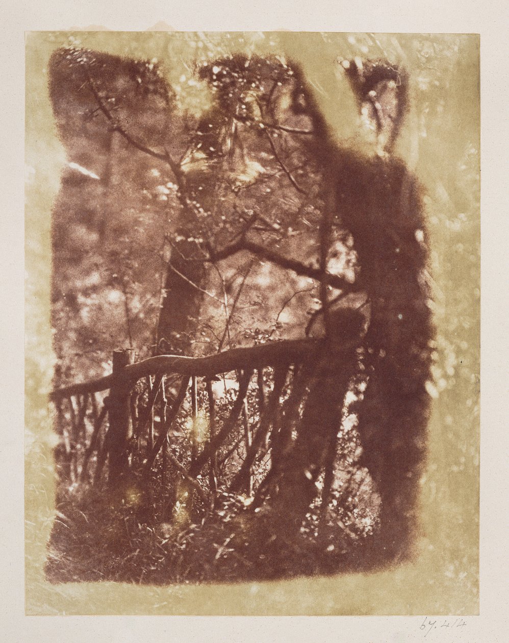 Hek en bomen in Colinton Wood door David Octavius Hill