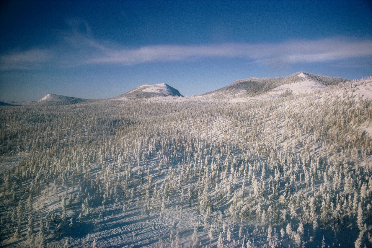 Siberië in winterlandschap over moeras en bossen bedekt met sneeuw door Dean Conger