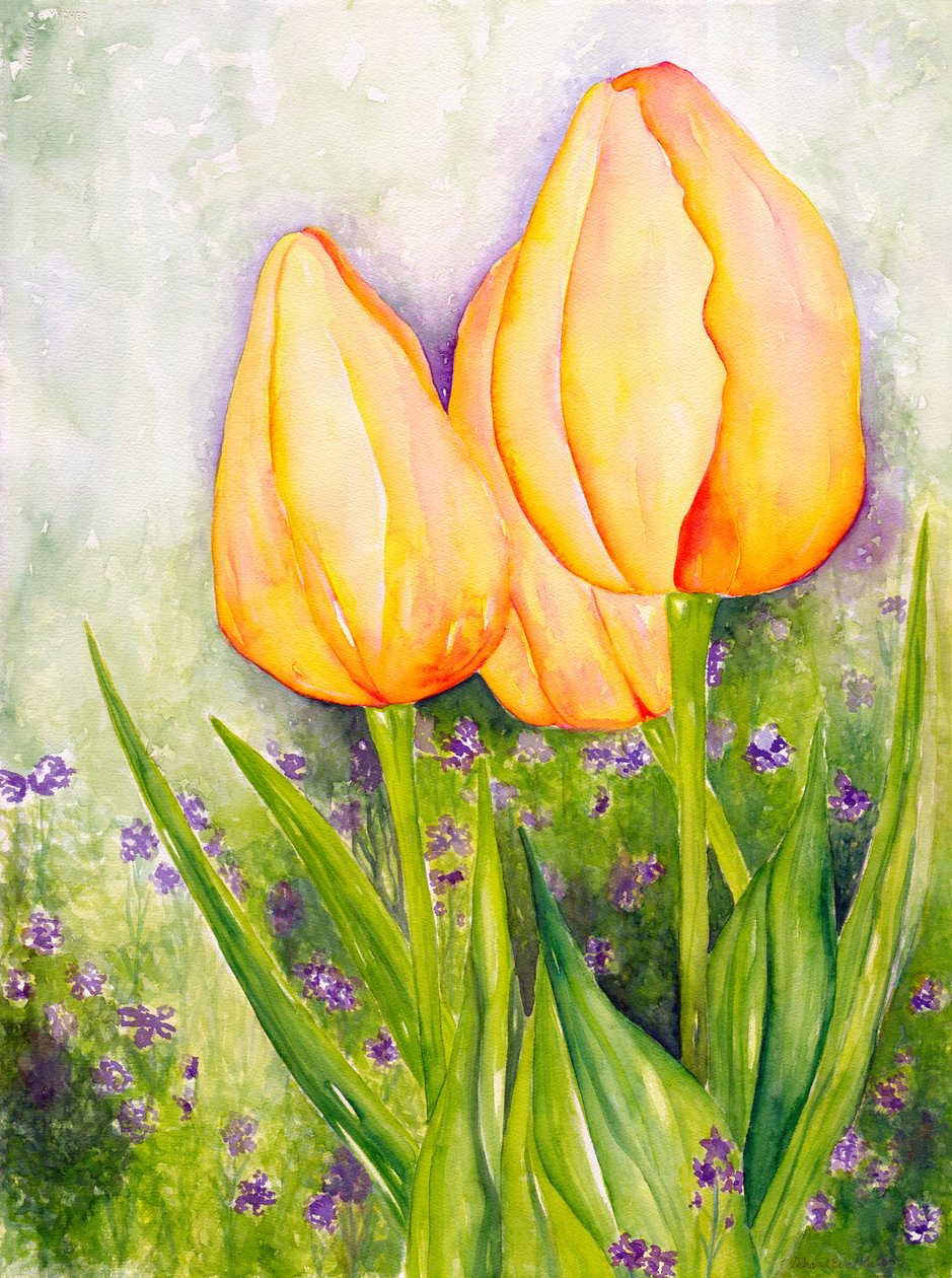 Gele tulpen, 2006 (aquarel) door Deborah Eve Alastra