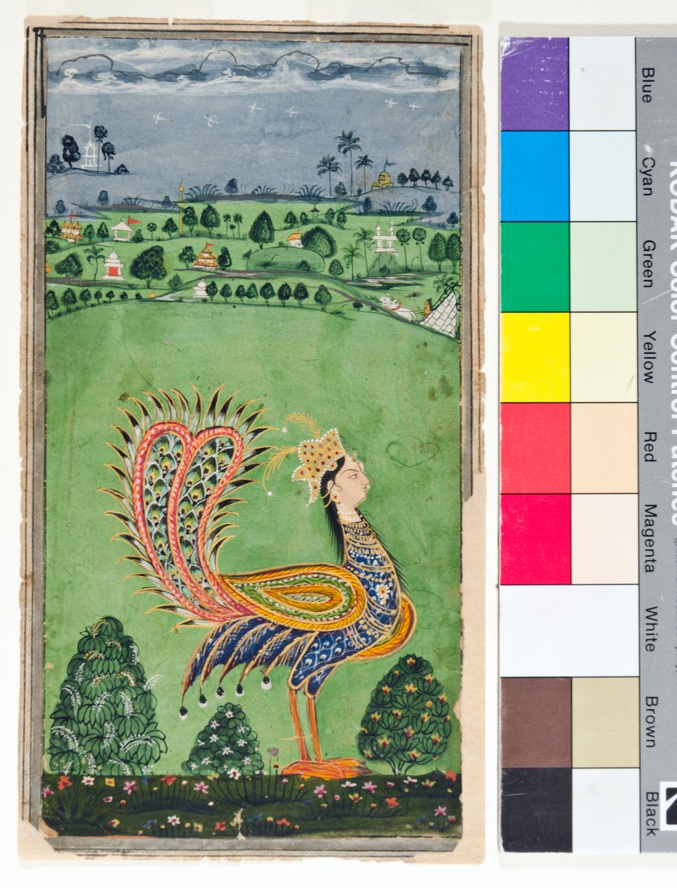 Mythische pauw met een vrouwenhoofd door Deccani School