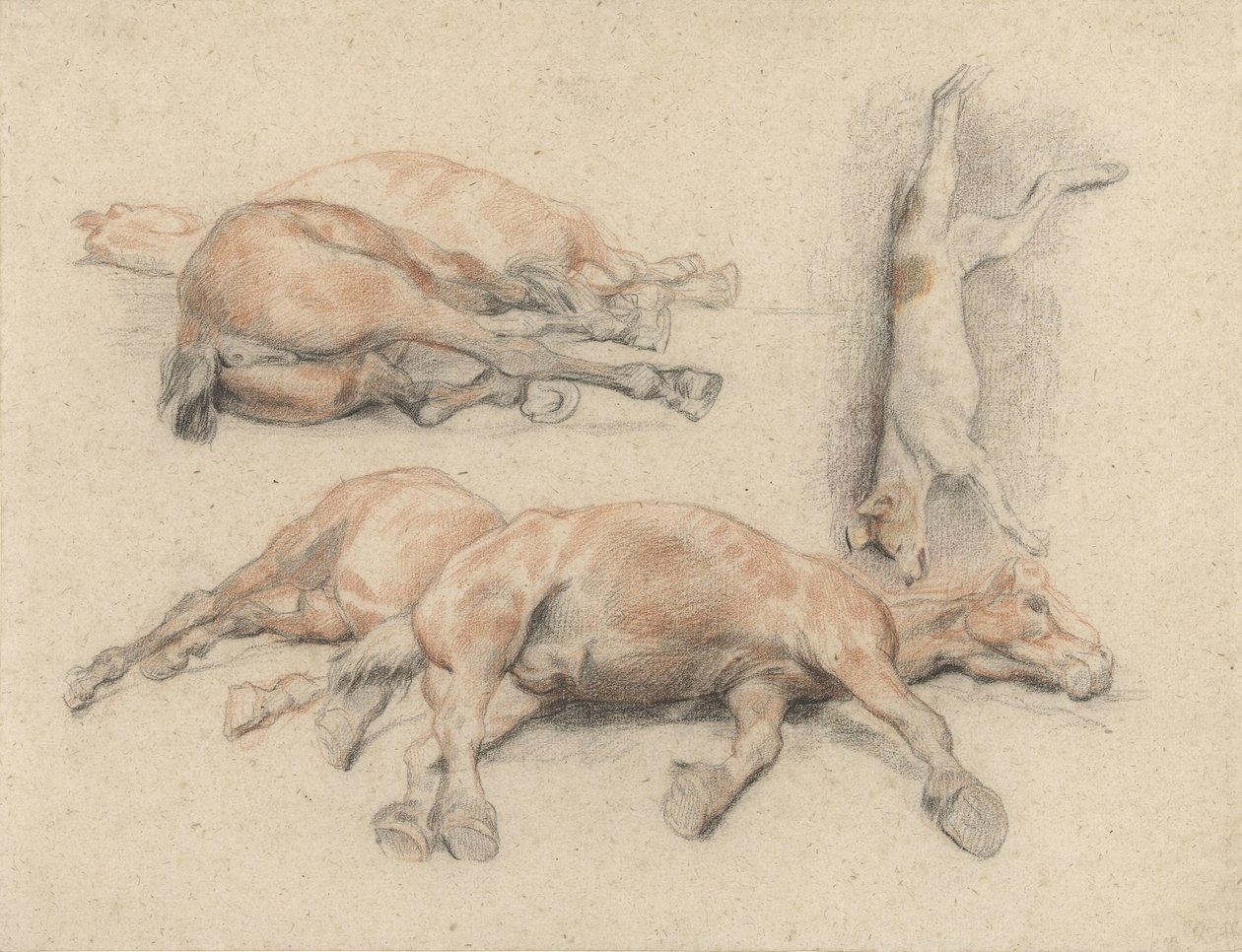 Studies van een paardenkadaver en een dode opgehangen hond door Denis Auguste Marie Raffet
