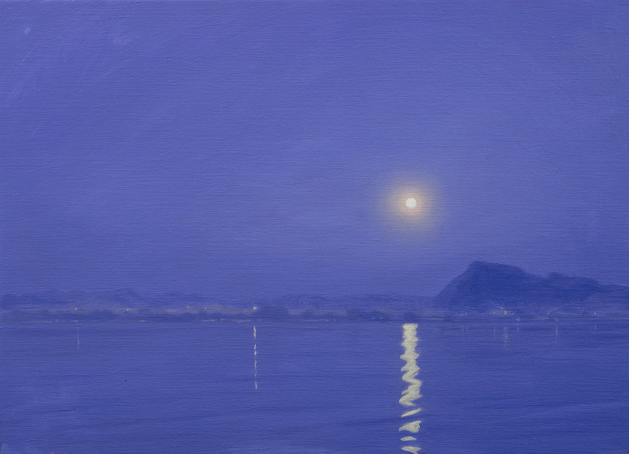 Maanlicht boven Udaipur door Derek Hare