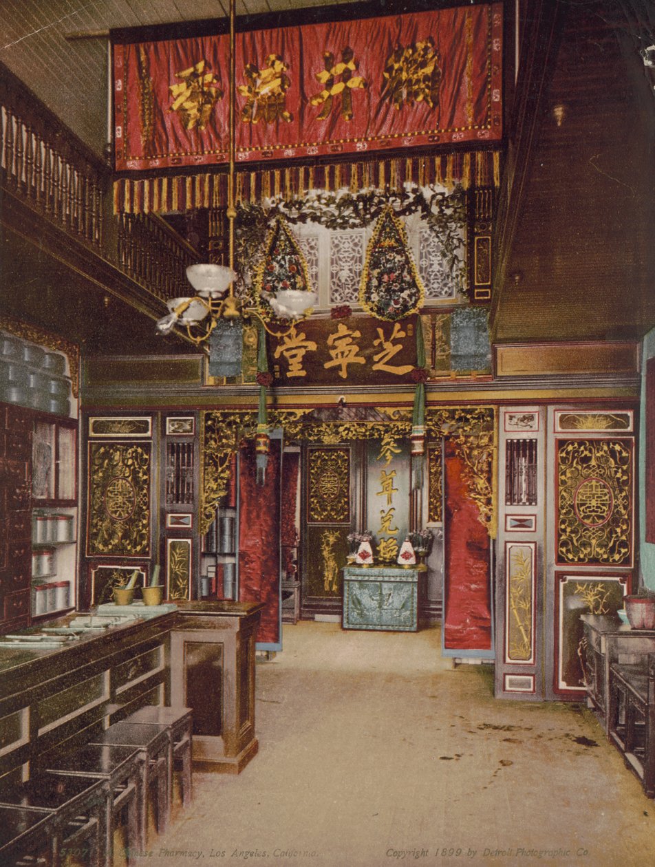 Chinese apotheek, Los Angeles, Californië door Detroit Photographic Co.