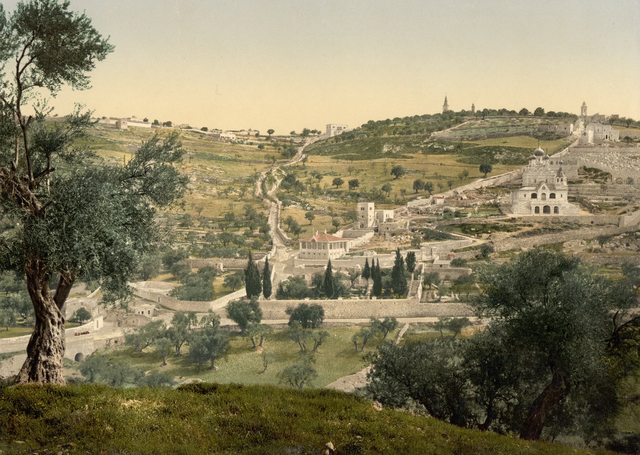 Olijfberg en Getsemane, algemeen uitzicht, Jeruzalem, c.1890-c.1900 door Detroit Photographic Co.