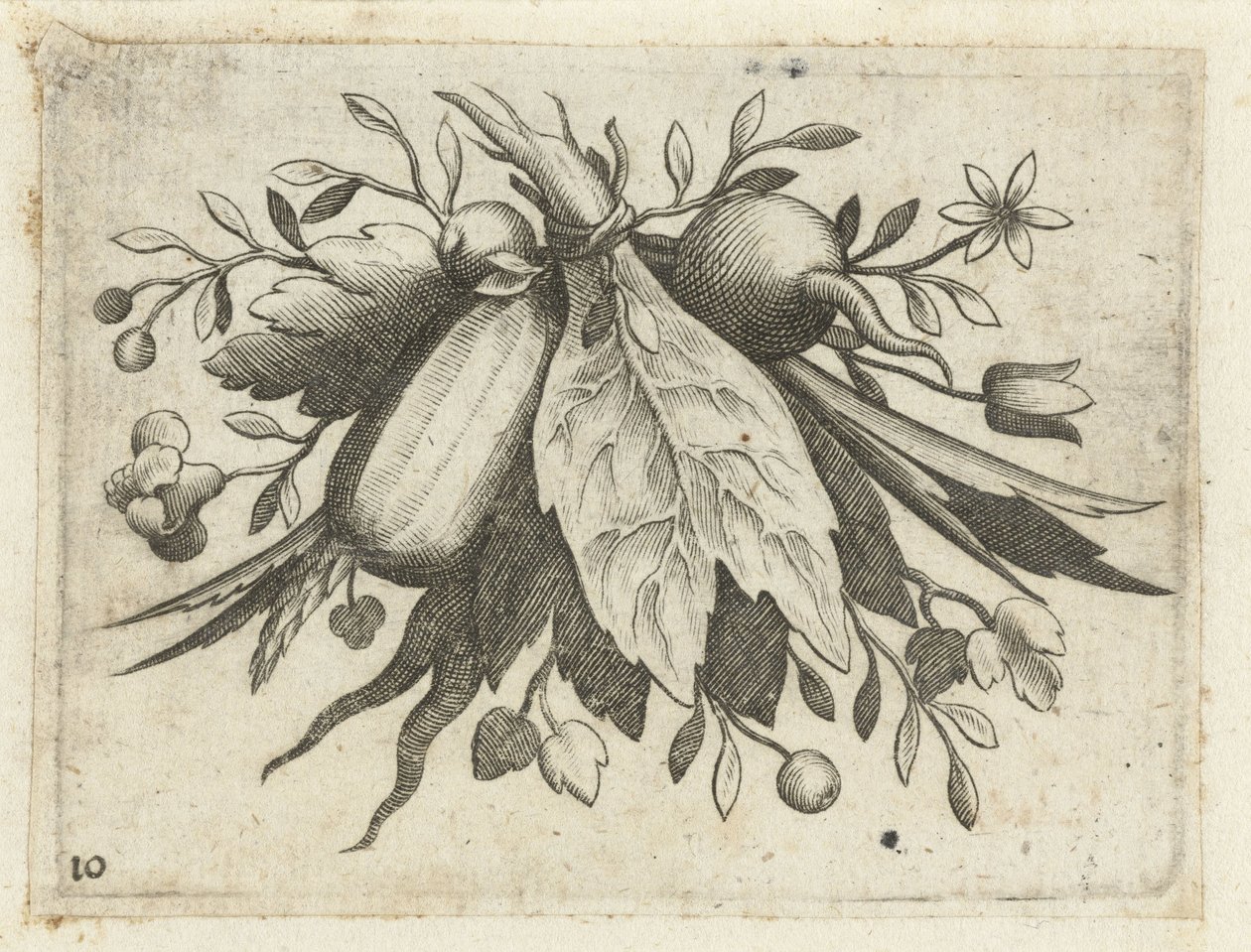 Festoen van vruchten door Dietrich Krüger (attributed to)