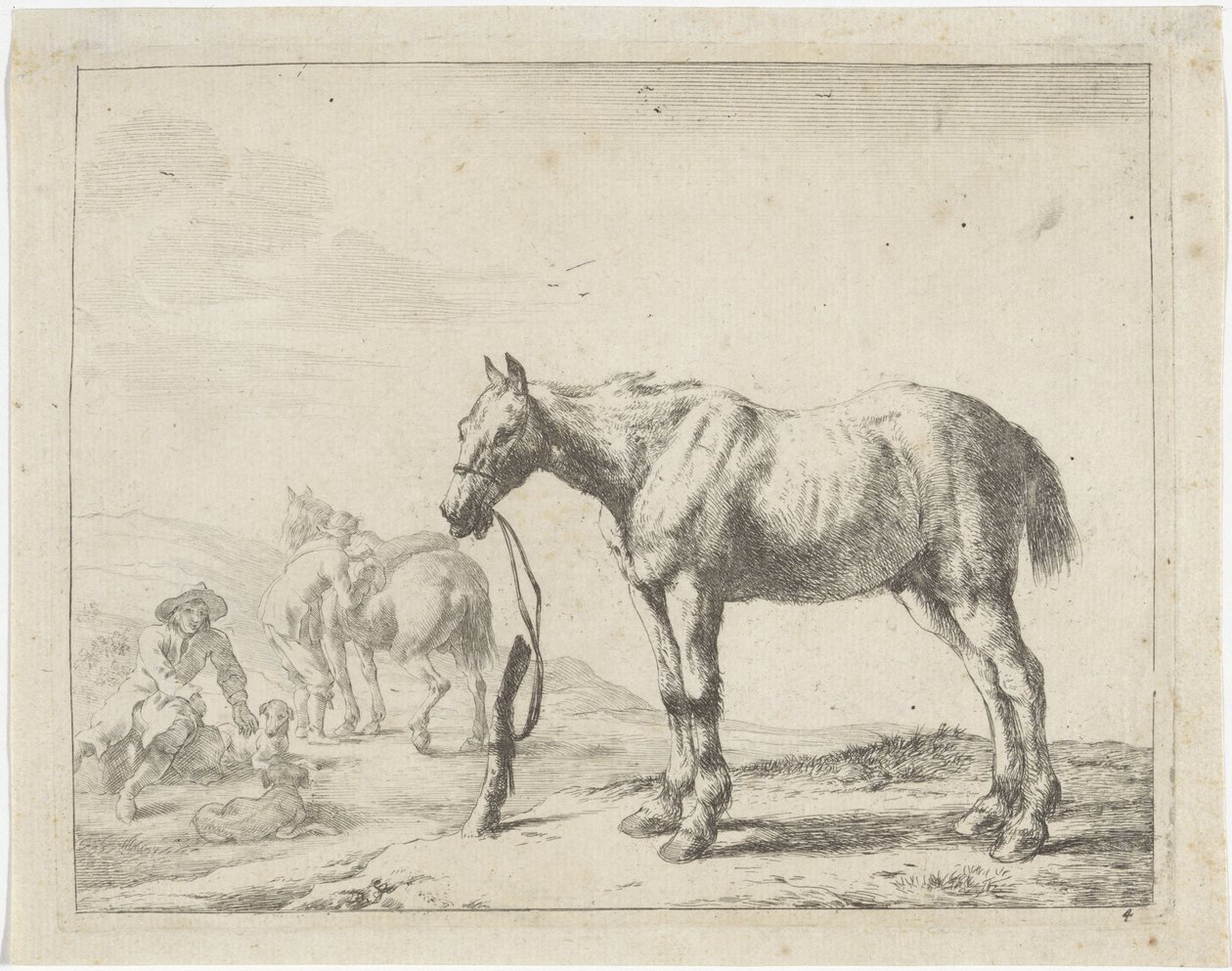 Aan een paal gebonden paard naar links door Dirk Stoop