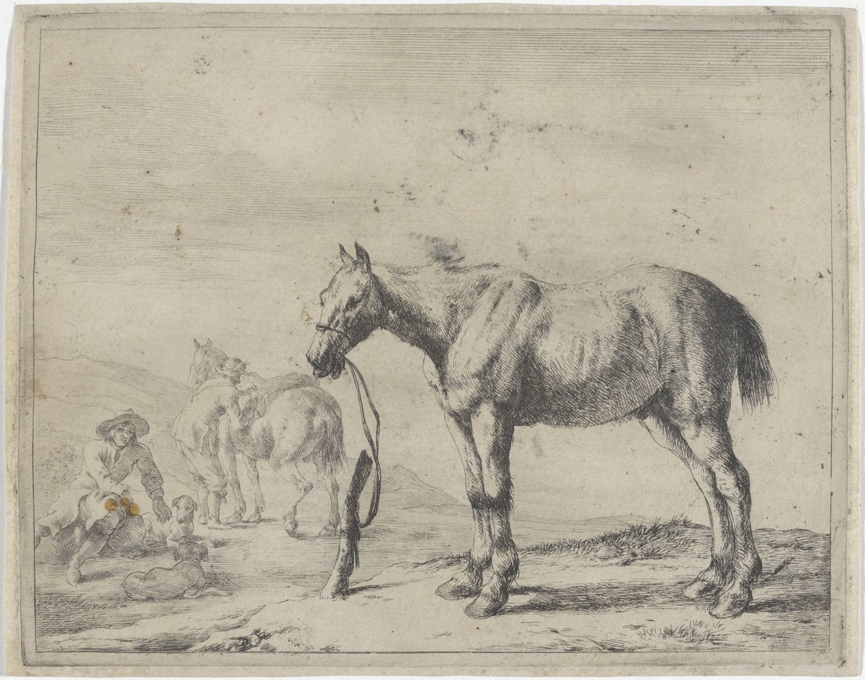 Aan een paal gebonden paard naar links door Dirk Stoop